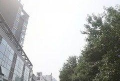 果园新华南路最新爆料