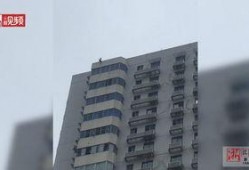 石家庄天苑爆料案件最新,揭秘背后惊人真相
