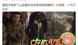 狗仔突发爆料视频大全图片,视频大全图片揭秘娱乐圈幕后风云