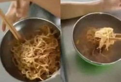 天津营养餐爆料视频网,网友热议