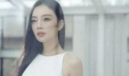 网红王琳爆料事件视频,揭秘背后惊人真相