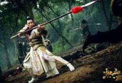 热血杨家将在线观看,传奇家族的英勇传奇，在线观看重温历史荣光