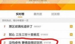 卓伟爆料杨紫男友视频,卓伟独家爆料引发热议