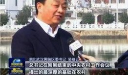 今日三乡新闻爆料,揭秘今日热点事件背后的真相