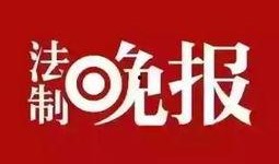 枞阳新闻爆料网官网,聚焦本土热点，传递民生声音