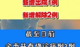 枞阳新闻爆料网官网,聚焦本土热点，传递民生声音