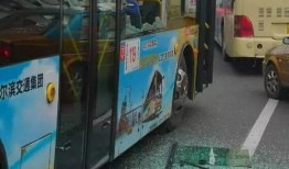 重庆公交圈爆料最新消息,揭秘重大交通事件背后真相