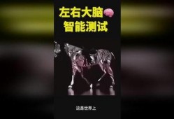 奇人异事热点爆料视频在线观看,揭秘神秘事件，热点爆料视频在线观看