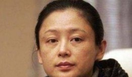 娱乐圈爆料陈红是谁,陈红身份揭秘，她是谁？