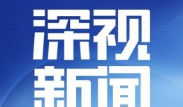 深圳广播电视台爆料新闻,重大新闻事件深度解析