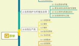 达摩柱子爆料视频大全集,揭秘幕后真相与惊人内幕