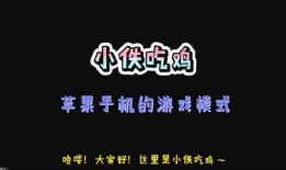 爆料吃鸡新玩法视频,视频爆料带你领略全新竞技体验