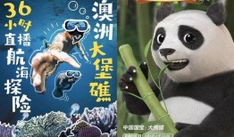 薄荷爆料燕子视频播放,燕子视频播放背后的精彩瞬间