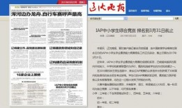 辽沈晚报爆料入口最新,最新热点事件深度解析