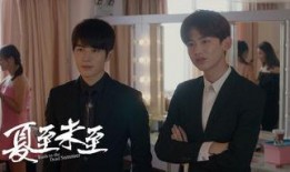 夏至未至在线观看搜狐,青春记忆的温暖回响
