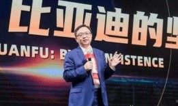 松散小雷爆料王传福视频,揭秘比亚迪掌门人真实一面