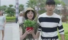 夏至未至在线观看搜狐,青春记忆的温暖回响