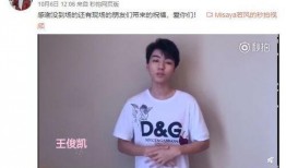 小七最新爆料视频大全集,揭秘娱乐圈幕后真相