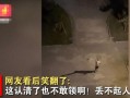 陶汉明醉酒爆料了吗视频,真相与争议并存