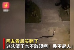 陶汉明醉酒爆料了吗视频,真相与争议并存