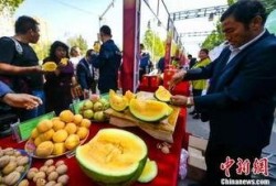 潍坊吃瓜最新爆料新闻,最新爆料揭秘幕后真相