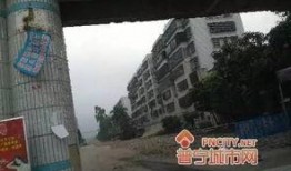 普宁今日爆料,揭秘今日热点事件