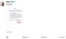 新瓜网红爆料是真的吗视频,新瓜网红爆料视频真实性揭秘