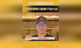 大瓜爆料汪峰视频播放全集,大瓜爆料视频全集深度解析