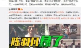 卓伟预告爆料事情视频大全,揭秘娱乐圈幕后真相