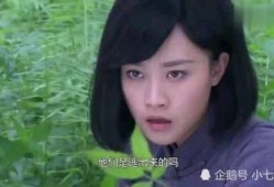 小七最新爆料视频大全集,揭秘娱乐圈幕后真相