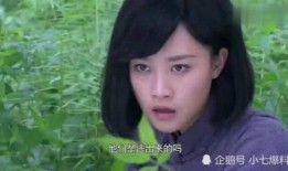 小七最新爆料视频大全集,揭秘娱乐圈幕后真相