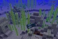 我的世界最新国际版爆料,揭秘Minecraft国际版最新爆料与更新亮点