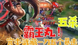 体验服宫本武藏最新爆料,剑道大师的全新觉醒，体验服爆料揭示神秘技能