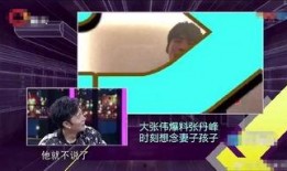张丹峰爆料妻子视频播放,揭秘背后惊人真相