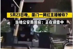 厦门爆料主播事件视频最新,真相发酵，网络舆论漩涡中的直播生态反思
